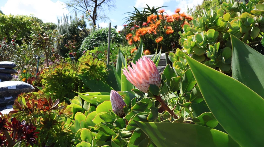 To Let 2 Bedroom Property for Rent in Crofters Valley Western Cape